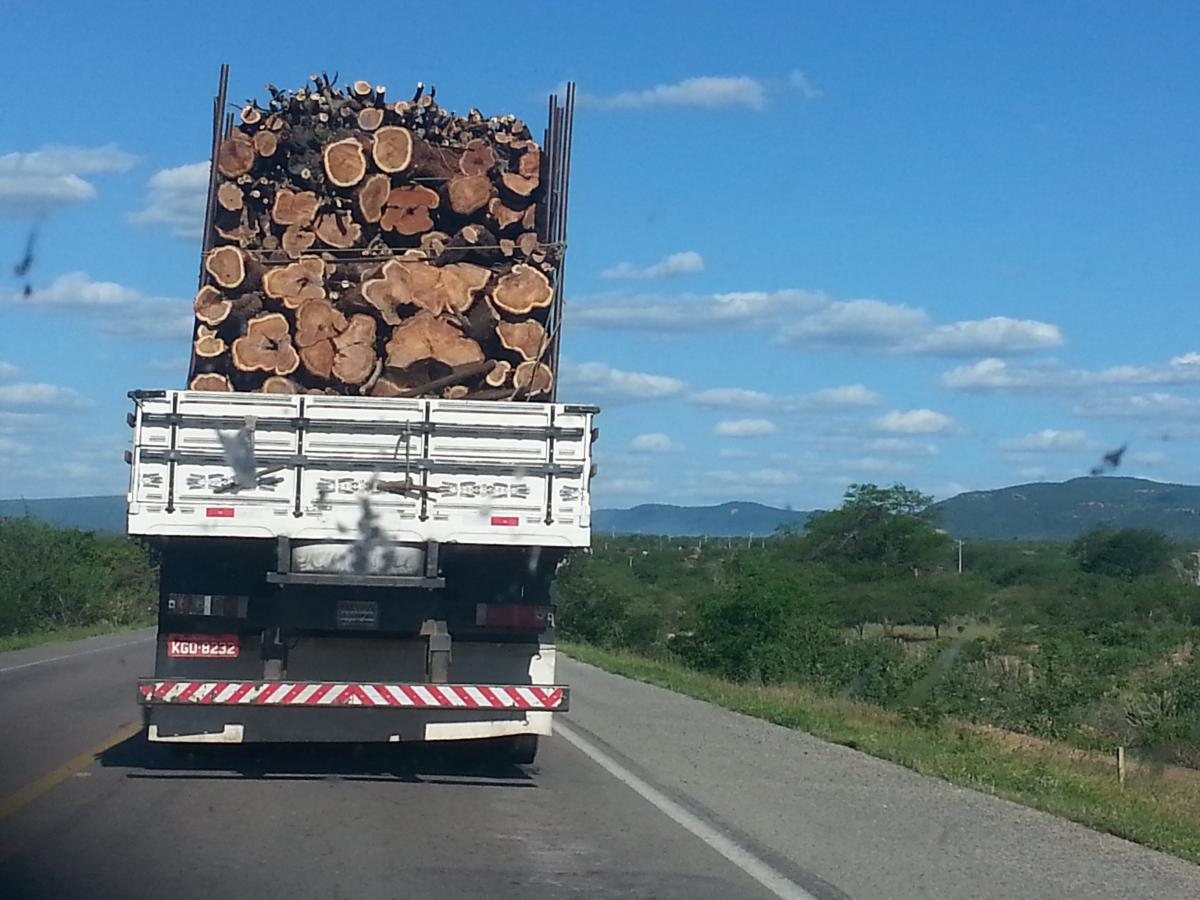 Transporte de madeira